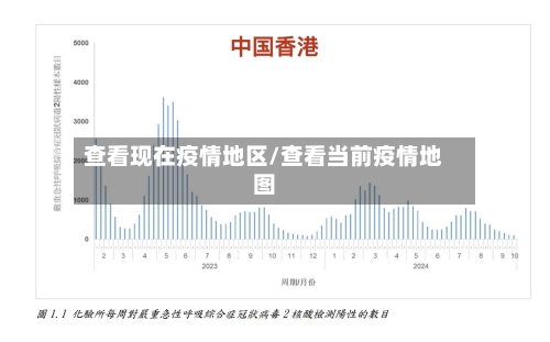 查看现在疫情地区/查看当前疫情地图-第2张图片